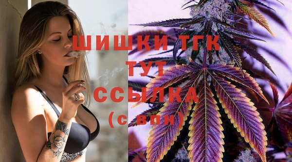 индика Бородино