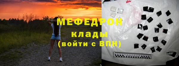 индика Бородино