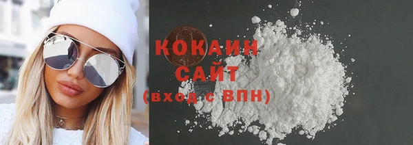 индика Бородино