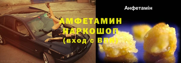 индика Бородино