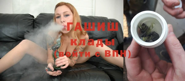 индика Бородино