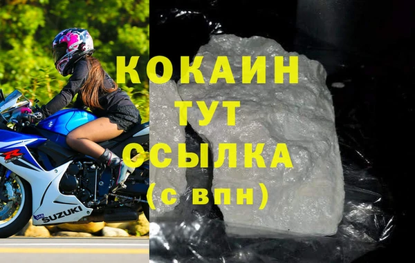 индика Бородино