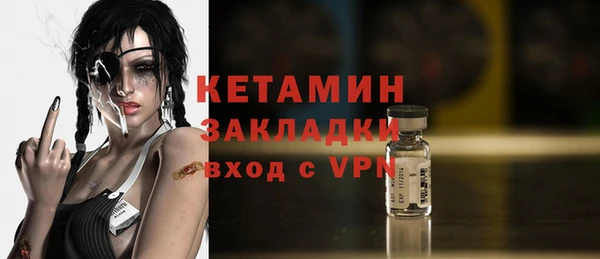 индика Бородино