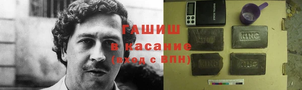 индика Бородино