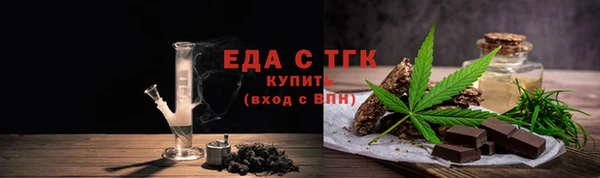 индика Бородино