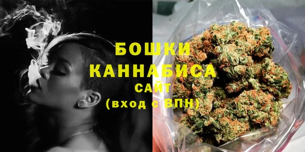 индика Бородино