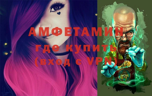 индика Бородино