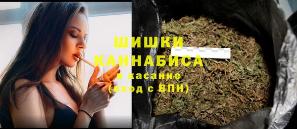ГАЛЛЮЦИНОГЕННЫЕ ГРИБЫ Бронницы