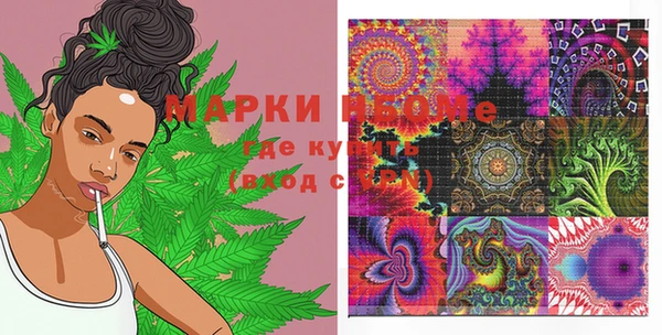 индика Бородино