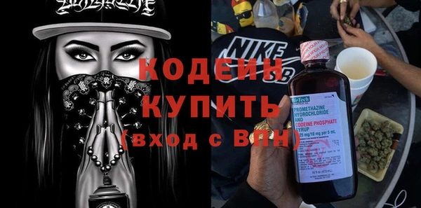 индика Бородино