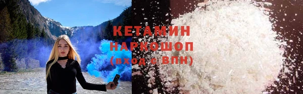 индика Бородино