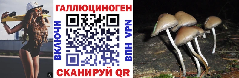 Купить закладки  Мытищи  Галлюциногенные грибы Psilocybe 