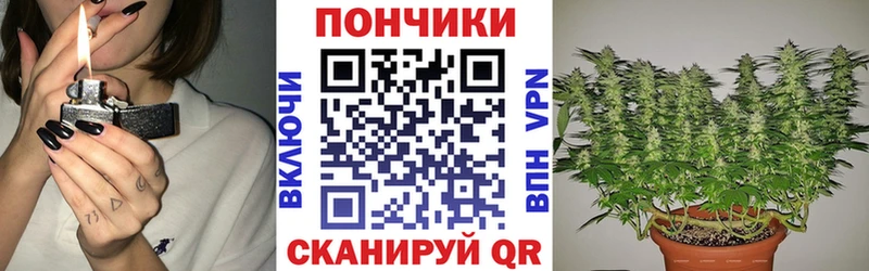 Шишки марихуана Amnesia  Купить  Мытищи 